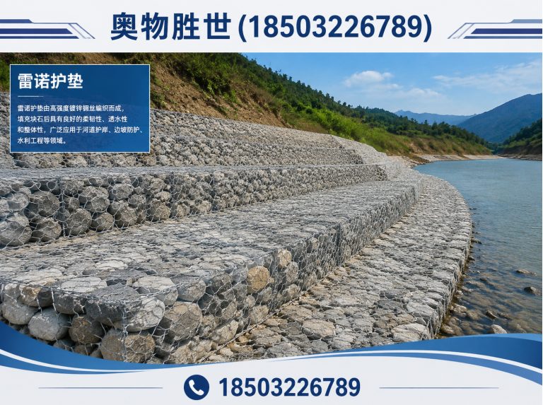 莆田雷诺护垫展示图